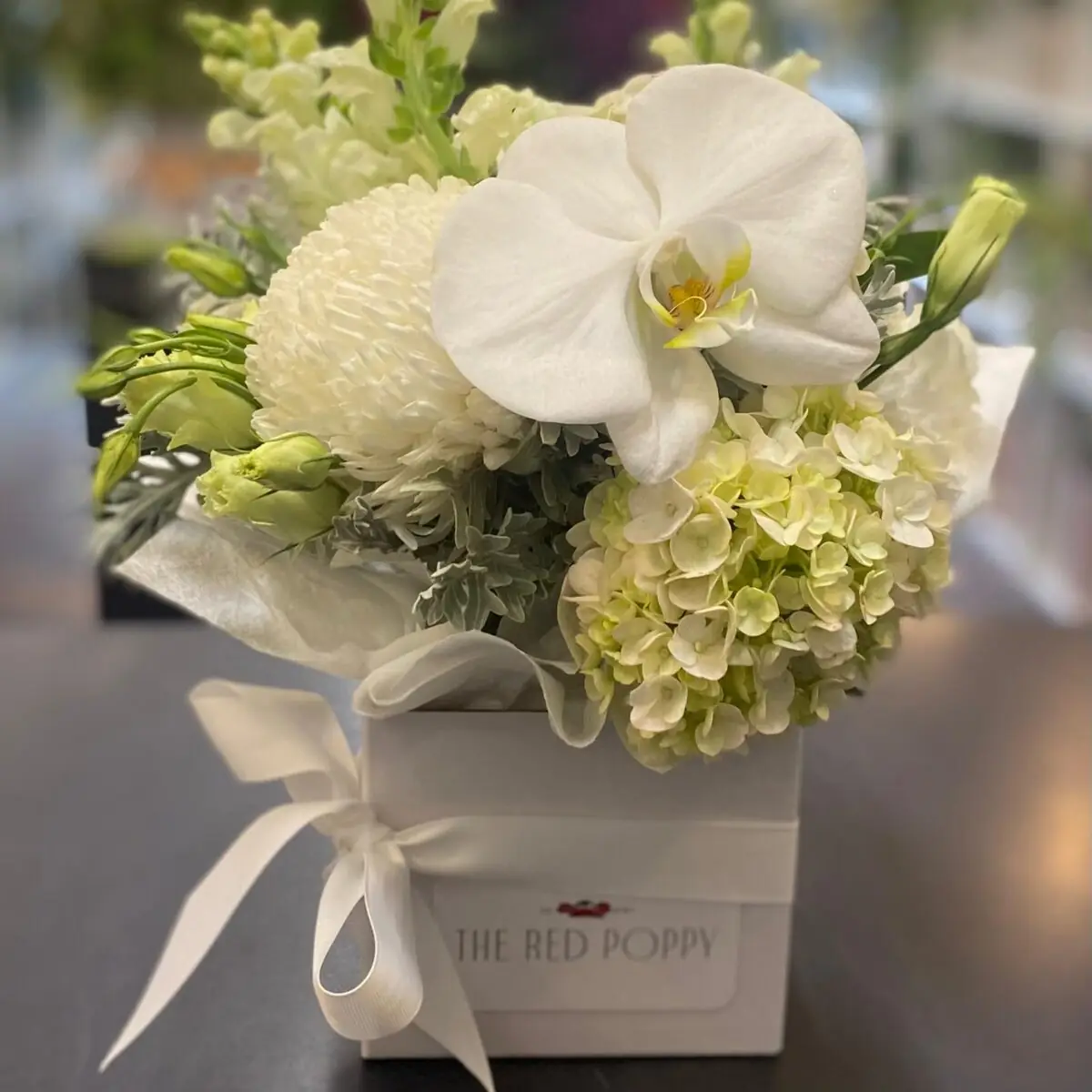 Petite boxed arrangement of white orchid and hydrangea